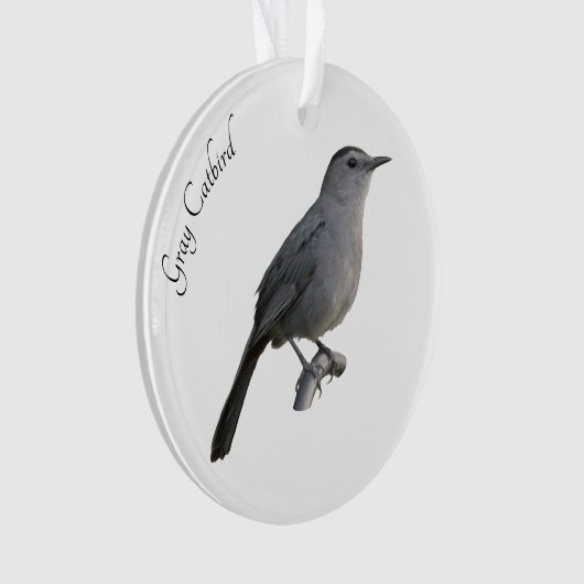 Gray Catbird Ornament (Vorderseite)