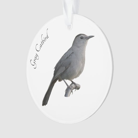 Gray Catbird Ornament (Vorderseite)