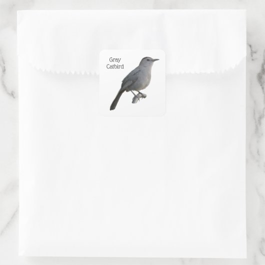 Gray Catbird Quadratischer Aufkleber (Tasche)