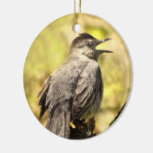 Gray Catbird singt sein Song-Ornament Keramikornament (Links)
