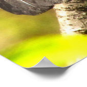 Gray Catbird singt sein Song Poster (Ecke)