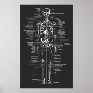 gray chalkboard style skeleton poster