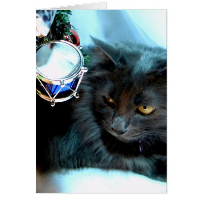 Gray Christmas Kitty II (Vorne)