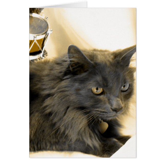 Gray Christmas Kitty III (Vorne)