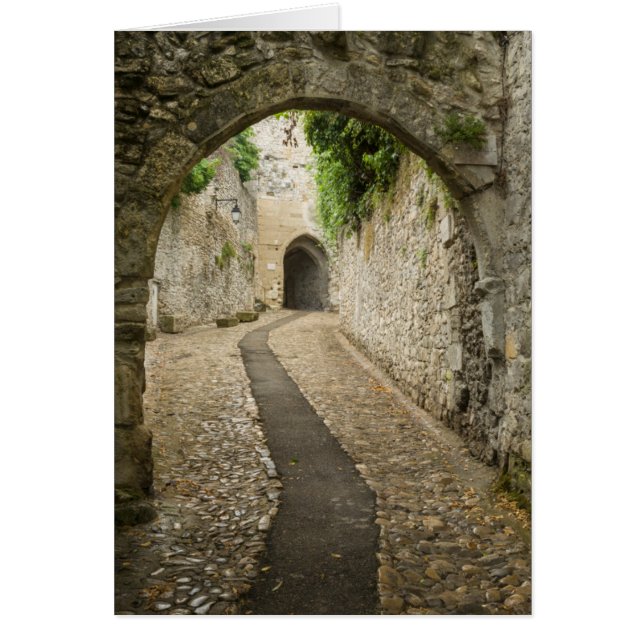 Gray Cobblestone Street, Frankreich (Vorne)