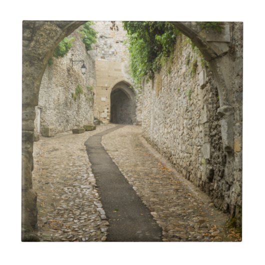 Gray Cobblestone Street, Frankreich Fliese (Vorderseite)