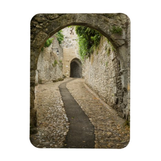 Gray Cobblestone Street, Frankreich Magnet (Vertikal)
