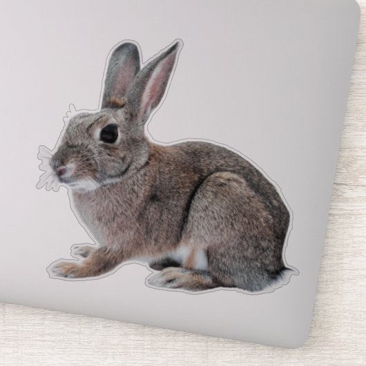 Gray Cottontail Rabbit Pet Bunny  Aufkleber (Detail)