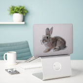 Gray Cottontail Rabbit Pet Bunny  Aufkleber (Laptop auf Schreibtisch)