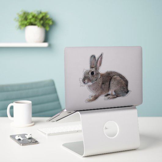 Gray Cottontail Rabbit Pet Bunny Aufkleber (Laptop auf Schreibtisch)