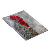 Gray Country Rooster Notizblock (Rechte Seite)