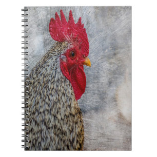 Gray Country Rooster Notizblock