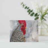 Gray Country Rooster Postkarte (Stehend Vorderseite)