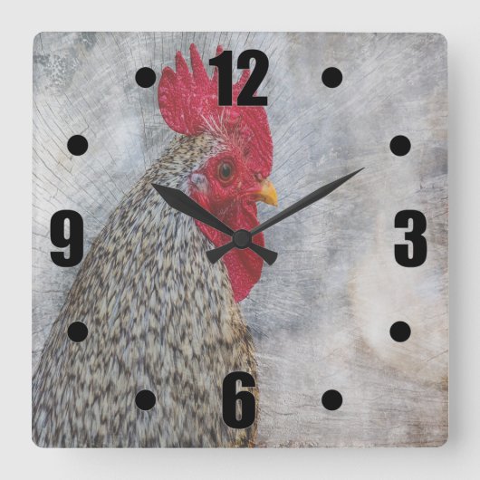 Gray Country Rooster Quadratische Wanduhr (Vorderseite)
