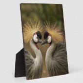 Gray Crowned Crane Fotoplatte (Seite)