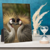 Gray Crowned Crane Fotoplatte (Seite)
