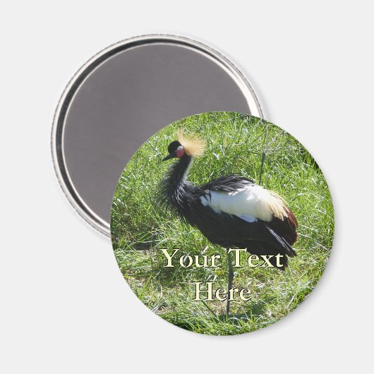 Gray Crowned Crane Magnet (Vorderseite/Rückseite)