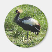 Gray Crowned Crane Magnet (Vorne)