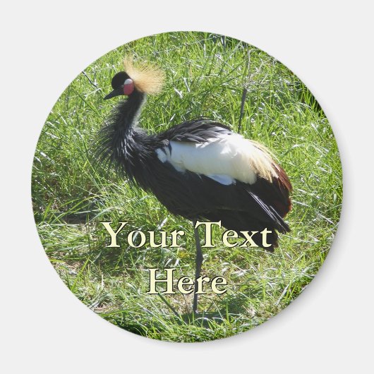 Gray Crowned Crane Magnet (Vorne)