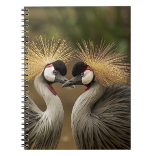 Gray Crowned Crane Notizblock