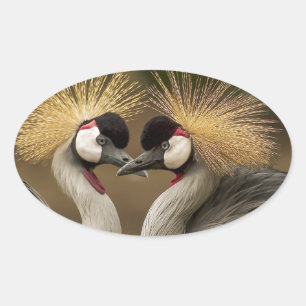 Gray Crowned Crane Ovaler Aufkleber