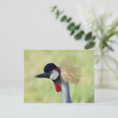 Gray Crowned Crane Profil Postkarte (Stehend Vorderseite)