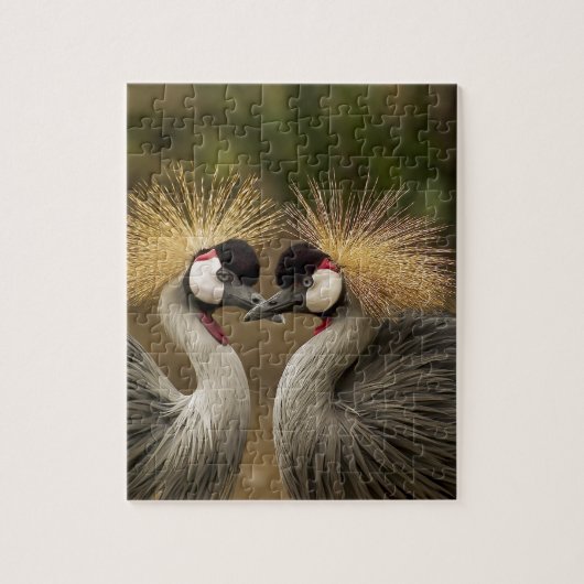 Gray Crowned Crane Puzzle (Vertikal)