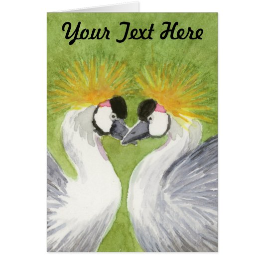 Gray Crowned Cranes (Vorne)