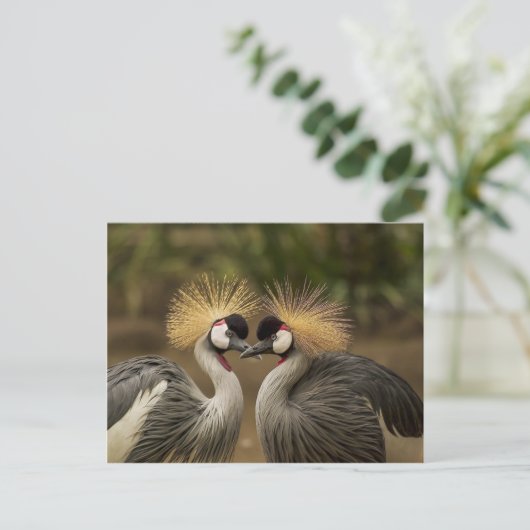 Gray Crowned Cranes Postkarte (Stehend Vorderseite)
