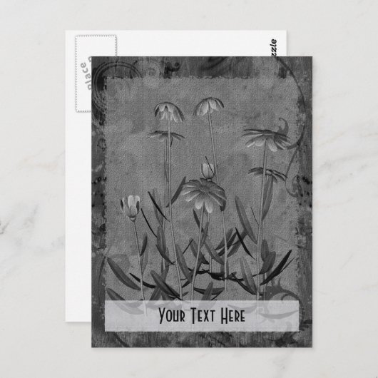 Gray Daisies Floral individuell anpassbare Postkar Postkarte (Vorne/Hinten)