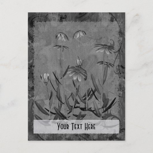 Gray Daisies Floral individuell anpassbare Postkar Postkarte (Vorderseite)