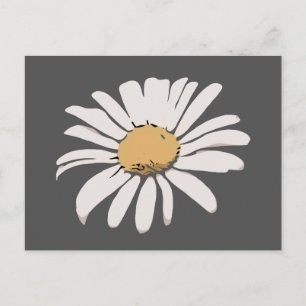 Gray Daisy Floral Postcard Postkarte