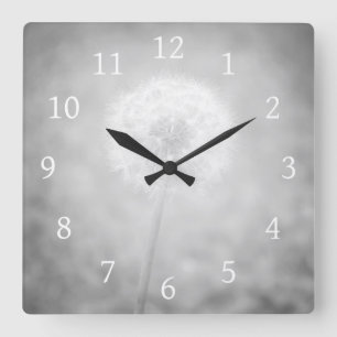Gray Dandelion Foto 31 Quadratische Wanduhr