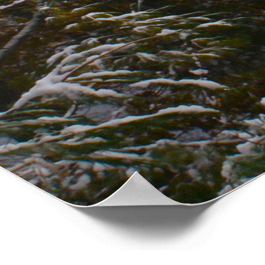 Gray Day Beauty Poster (Ecke)