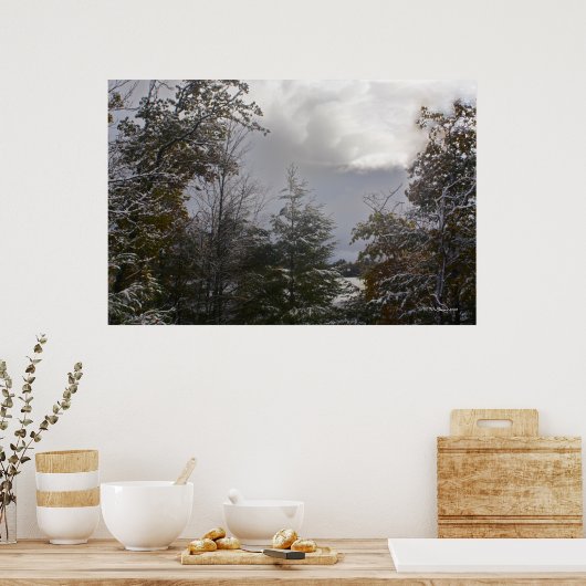 Gray Day Beauty Poster (Küche)