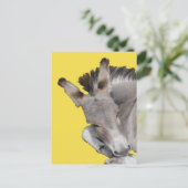Gray Donkey Foal Postkarte (Stehend Vorderseite)