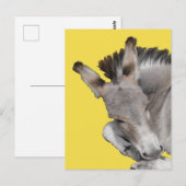 Gray Donkey Foal Postkarte (Vorne/Hinten)