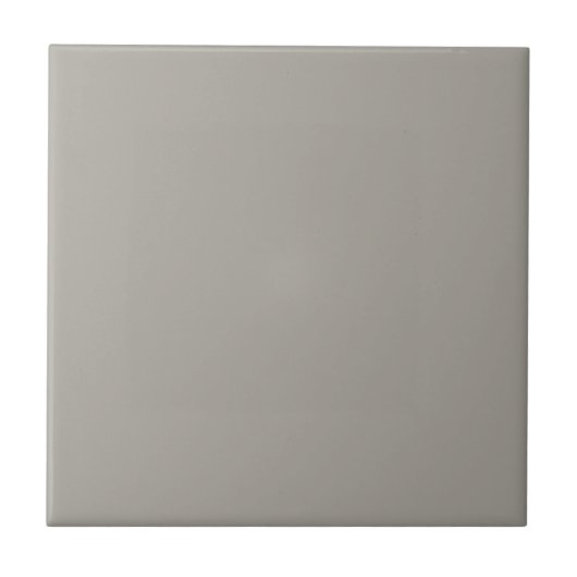 Gray Dorian Square Küche und Badezimmer Fliese (Vorderseite)