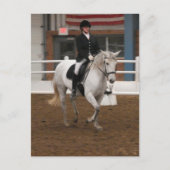 Gray Dressage Horse Postkarte (Vorderseite)