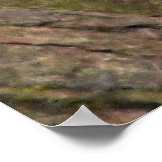 Gray Eichhörnchenportrait Poster (Ecke)