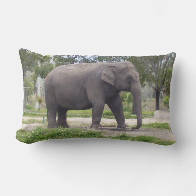 Gray Elephant Lendenkissen (Vorderseite)