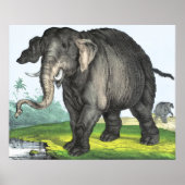 Gray Elephant Poster (Vorne)