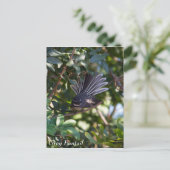 Gray Fantail Postkarte (Stehend Vorderseite)