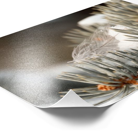 Gray Feather im Winter Evergreen Branch Fotodruck (Ecke)