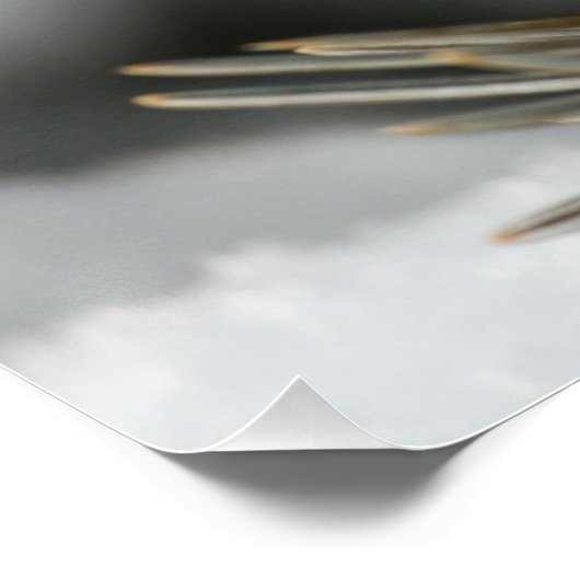 Gray Feather im Winter Evergreen Branch Poster (Ecke)