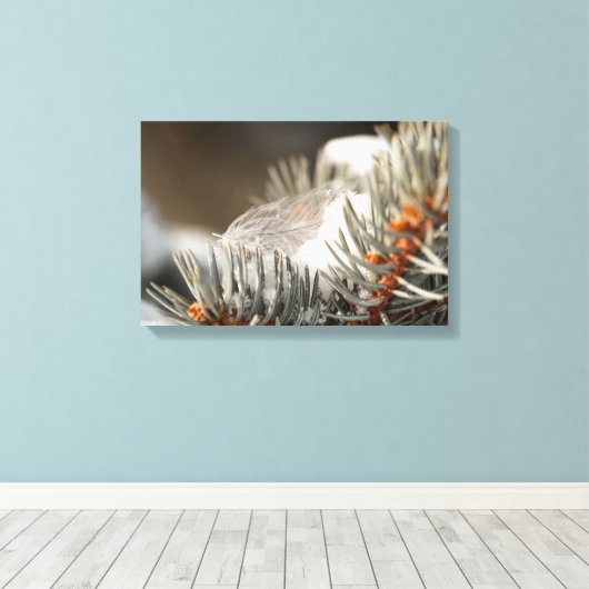 Gray Feather in Snowy Evergreen Branch Leinwanddruck (Insitu (Holzboden))
