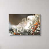 Gray Feather in Snowy Evergreen Branch Leinwanddruck (Vorderseite)