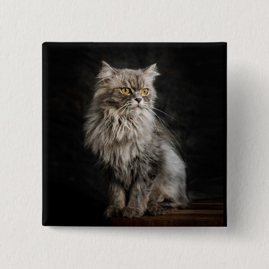 Gray Fluffy Cat Button (Vorderseite)