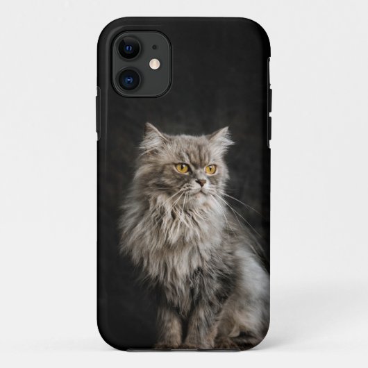 Gray Fluffy Cat Case-Mate iPhone Hülle (Rückseite)