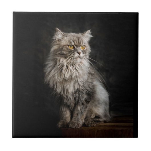 Gray Fluffy Cat Fliese (Vorderseite)